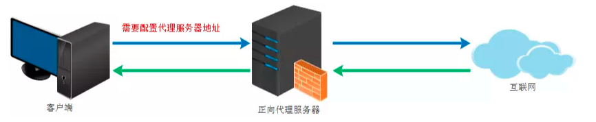image-20211207130143847