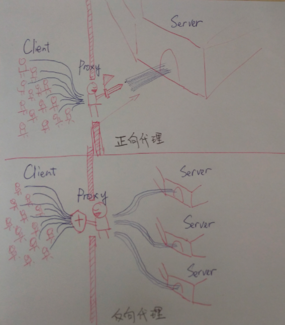 image-20211207130436802
