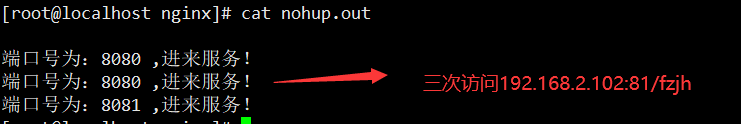 image-20211208101710252