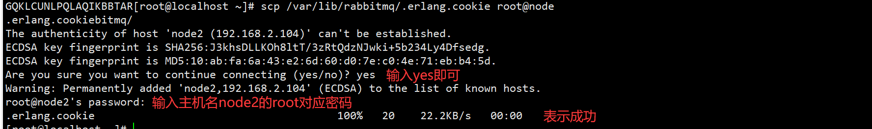 image-20220311221026721